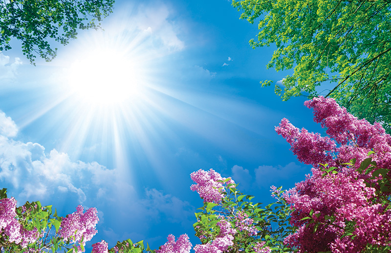 آسمان مجازی آشپزخانه جدید